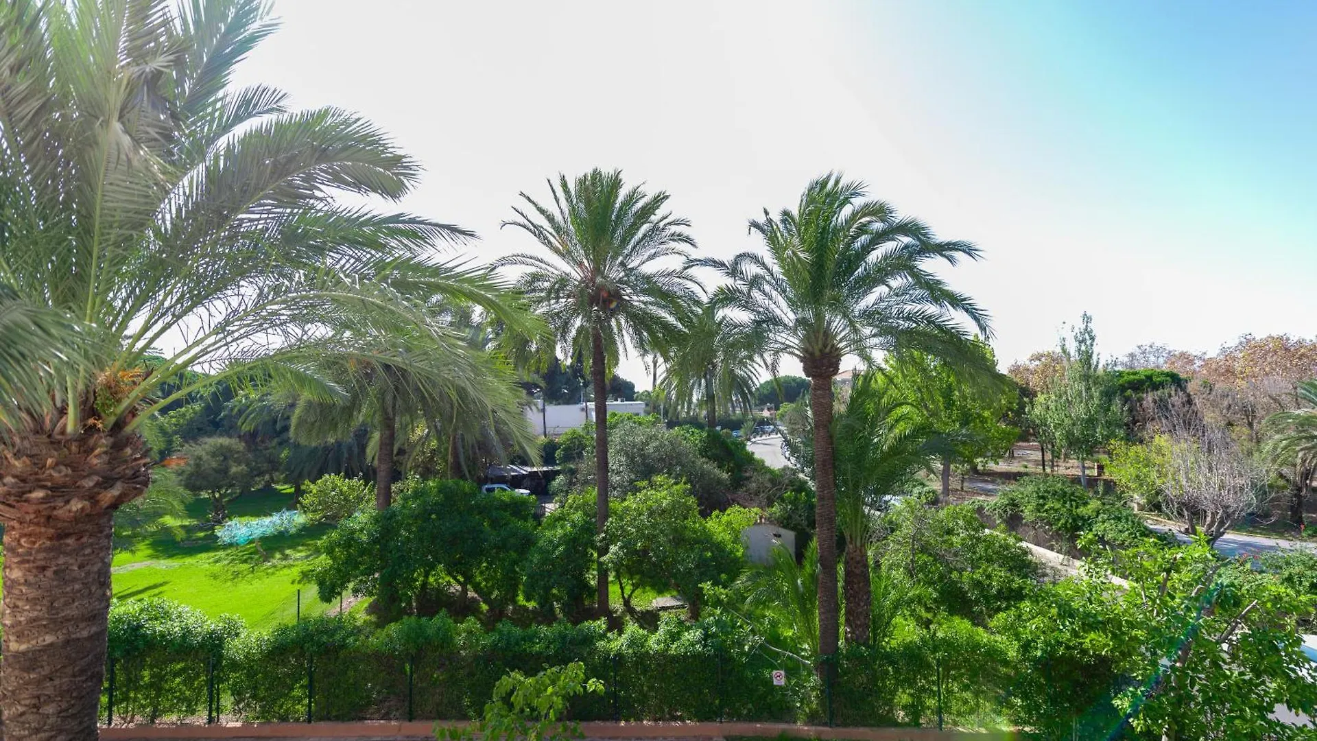 Moderno Estudio Y Piscina A 50 Metros De La Playa Marbella 0*,